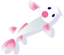 Pink and white koi fish swimming upwards